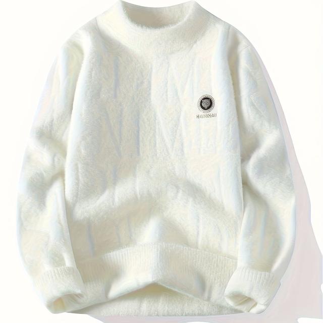 TEMU メンズ 秋冬新作 厚手ニット トラロゴー付き 高品質アニント プルオーバースウェットシャツ