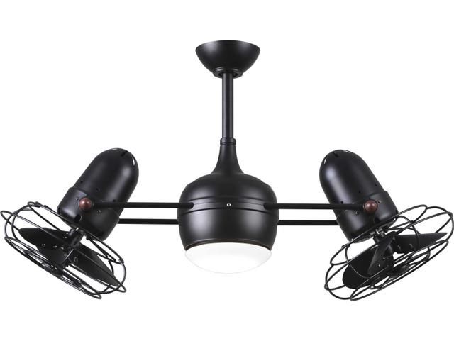 Dagny 40" Ceiling in Black