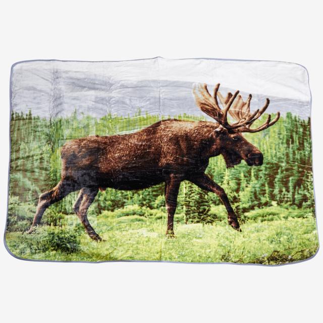 Shavel High-Pile Throw (60" x 80") | Style: Moose | by TSC