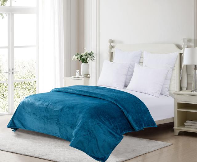 Claro Living Home Claro Living Plush Flannel Blanket | Style: Teal | Size: DOUBLE | by TSC
