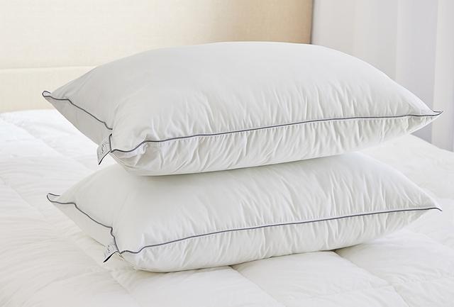Home Suite Essentials Down Alternative Cotton Shell Pillow (2-pack) | Size: STANDARD | by TSC