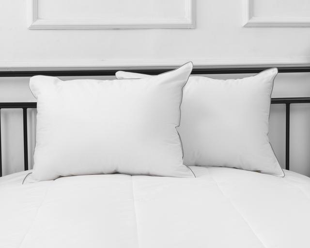 Millano Health Hypoallergenic Jumbo Bed Pillow (Set of 2) | by TSC