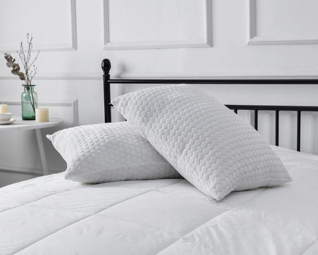 Millano Plush Queen Pillow (Set Of 2) | by TSC