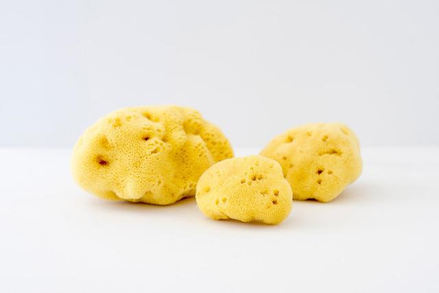 RE.VITYLÂ® Re.Vityl Organic Sponge Trio | by TSC