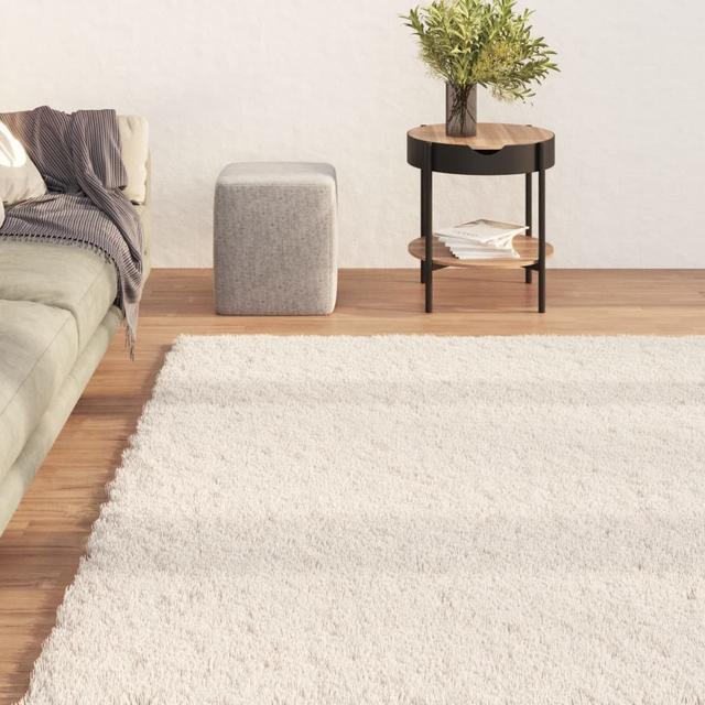 Soft washable beige shaggy rug 160x230 cm non-slip gray | by TSC