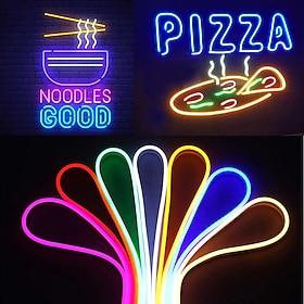 Waterproof LED Neon Flexible Strip Rope Light, Pool Light Strip SMD2835 120LED/M with Power Plug RGB Color Changing 8x16mm 5m 10m 20m 220V