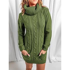 Women's Sweater Dress Jumper Dress Casual Dress Mini Dress Knitwear Fashion Streetwear Outdoor Street Daily Going out Turtleneck Long Sleeve Pocket 2023 Loose