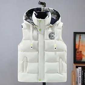 Men's Puffer Vest Hoodie Vest Padded Gilet Quilted Vest Daily Date Vacation Fashion Casual Fall Winter Pocket Polyester Warm Comfortable Graphic Zipper Hooded
