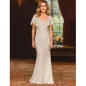 Sheath Column Floor Length Sequin Dress Prom Dress Party Dress Mother of the Bride Dress Sleeveless V Neck Elegant Vintage Party with Sequin