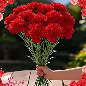 12 stk. kunstig nellikebuket, imitationsplanter, silkenelliker til mors dag og valentinsdag, velegnet til bryllupsbordpynt, brudebrusere, bordpynt, hjemmefeste