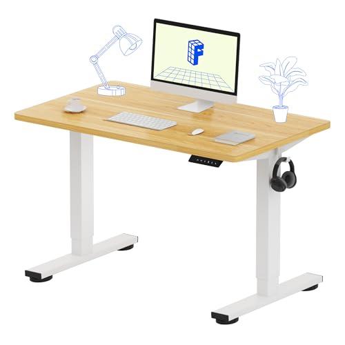 FLEXISPOT EN1 One-Piece Standing Desk 40 x 24 Inches Height Adjustable Desk Electric Sit Stand Up Desk Home Office Desks Computer Workstation (White Frame + Maple Desktop)