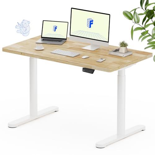 FLEXISPOT Solid Rubberwood Electric Standing Desk with Elegant Oval Legs, 48"x24" Height Adjustable Desk for Home Office & Living Spaces (White Frame)
