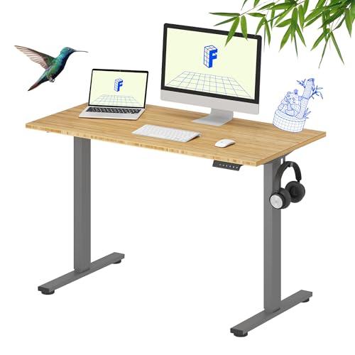 FLEXISPOT Solid Wood Standing Desk, One-Piece Real Wood Desktop, Electric Height Adjustable Desk for Home Office, 176 LBS Capacity (48"x24" Bamboo, Silver Frame)