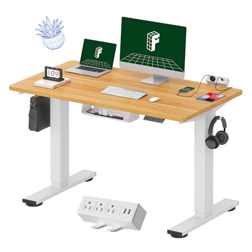 FLEXISPOT EN2 Whole-Piece Standing Desk with Clamp Power Strip, 48 x 24 Electric Stand Up Height Adjustable Desk with Cable Management (White Frame + 48" Maple Top)