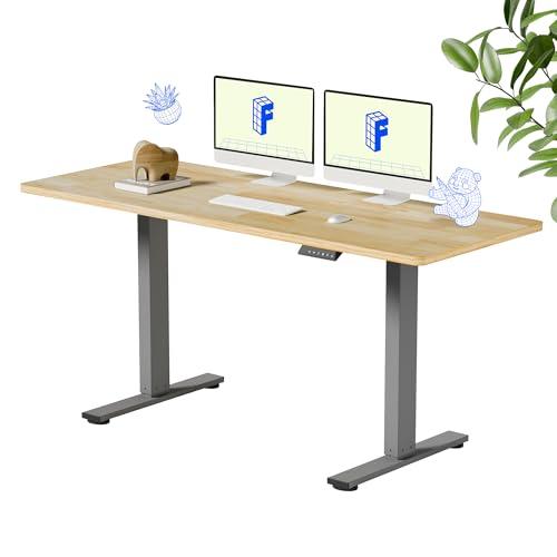 FLEXISPOT Solid Wood Standing Desk, One-Piece Real Wood Desktop, Electric Height Adjustable Desk for Home Office, 176 LBS Capacity (63"x24" Rubber Wood, Silver Frame)