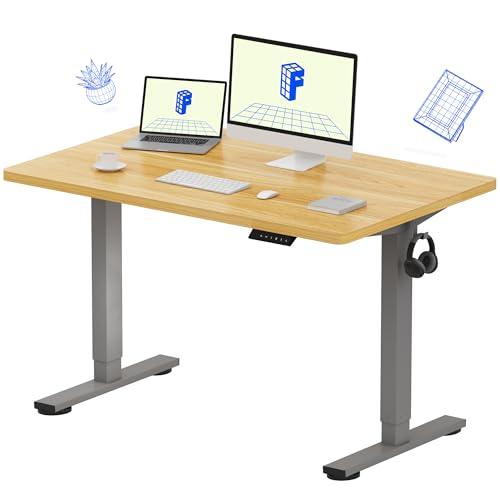FLEXISPOT EN1 One-Piece Height Adjustable Desk 48 x 30 inch Electric Standing Desk for Home Office (Silver Frame + 48" Natural Top, 2 Packages)