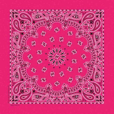 Carolina Creative Products Hav-A-Hank Paisley Handkerchief/Bandana, 22 x 22in.
