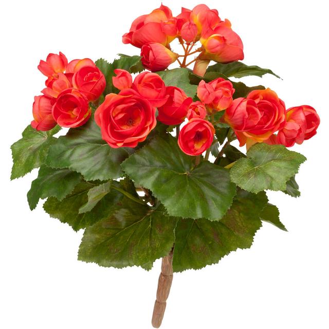 Begonia Bush by OakRidge™-Pink