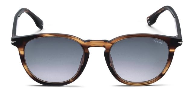 Police Champ 13 SPLQ82 Brown