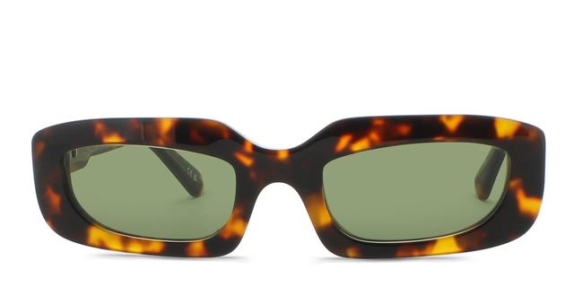 Off-White Renton Tortoise