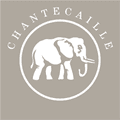 Chantecaille Coupons
