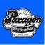 Paragon Sports Coupons Logo