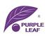 Purple Leaf Coupons Logo