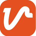 Viribus logo