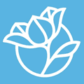 Draper James logo