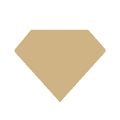 Diamond Nexus logo