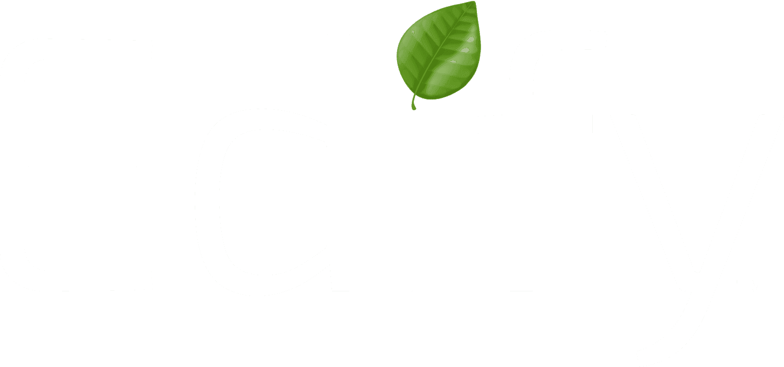 Edify Coupons