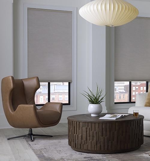 Levolor Blackout Cellular Shades