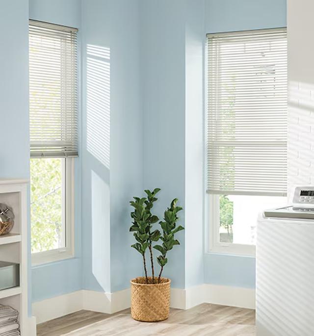 Blindsgalore® 1" Vinyl Blinds