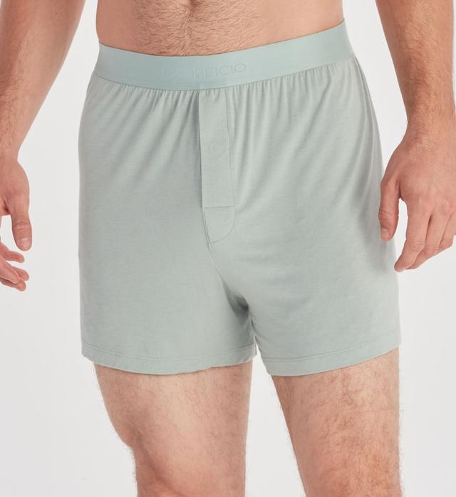 Ex Officio Men's Everyday Breathable Wicking Anti Odor Boxer in Jadeite (E14104) | Size Small | HisRoom.com