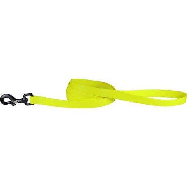 0.75 in. x 6 ft. Carnival Biothane Dog Lead&#44; Neon Yellow