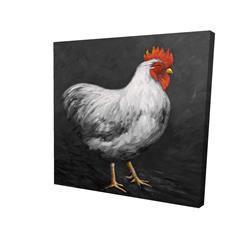16 x 16 in. Grey Rooster 2-Print on Canvas