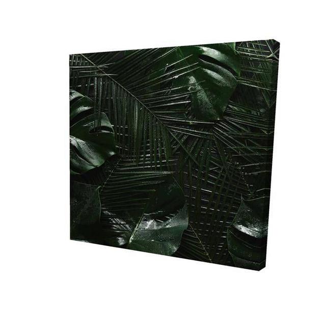 16 x 16 in. Tropical Jungle-Print on Canvas