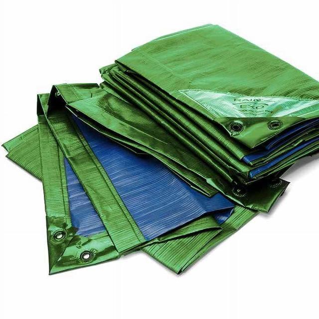 30 x 50 ft. Rainexo 150 GSM Heavy Duty Tarpaulins - Green & Blue