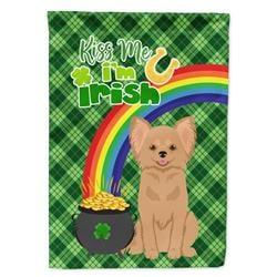 WDK4784GF 15.5 x 11.25 in. Longhaired Gold Chihuahua Saint Patricks Day Flag - Garden Size