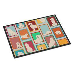 24 x 36 in. Unisex Lots of Cream Golden Retriever Indoor or Outdoor Mat