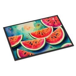 18 x 27 in. Unisex Colorful Watermelons Doormat