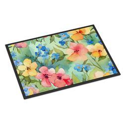 18 x 27 in. Unisex Alaska Forget-me-nots in Watercolor Doormat