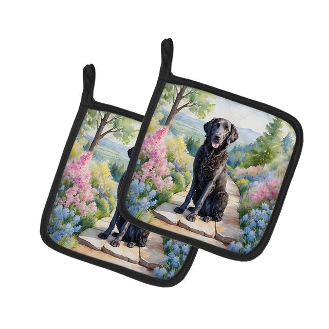 DAC6612PTHD 7.5 x 7.5 in. Curly-Coated Retriever Spring Path Pot Holders - Set of 2