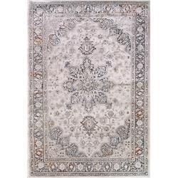 OT463955959 3 ft. 11 in. x 5 ft. 7 in. Astro Oriental Rectangle Area Rug, Grey, Blue & Multi Color