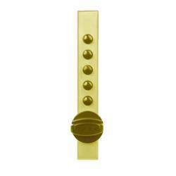 9621C21-03 Cabinet Lock with Spring Loaded Latch Bolt for Wood Applications - Bright Brass