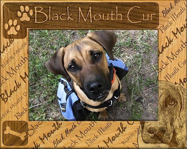Giftworks Plus DBA0024 Black Mouth Cur- Alder Wood Frame- 3.5 x 5 In
