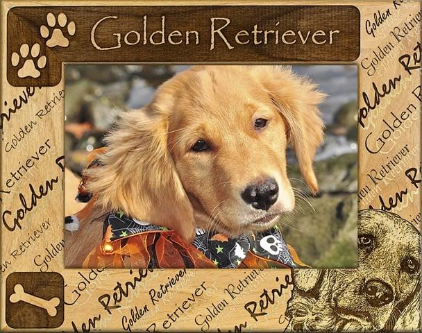 Giftworks Plus DBA0086 Golden Retriever- Alder Wood Frame- 3.5 x 5 In