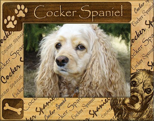Giftworks Plus DBA0058 Cocker Spaniel- Alder Wood Frame- 8 x 10 In