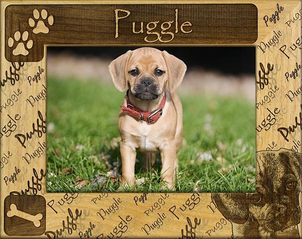 Giftworks Plus DBA0139 Puggle- Alder Wood Frame- 5 x 7 In