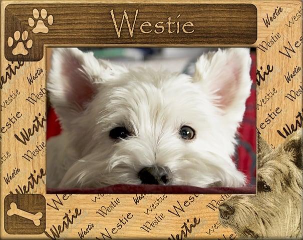 Giftworks Plus DBA0171 Westie Alder Wood Frame- 5 x 7 In